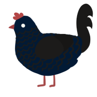 Black Sorrow, a tumblr and sable chicken with a lace pattern