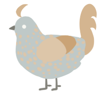 A silver and beige chicken with a speckle pattern