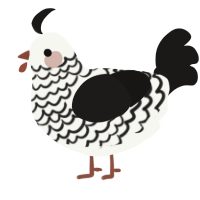 A white and sable chicken with a lace pattern