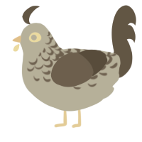 Earl Grey, a silver and grey chicken with a half-lace pattern