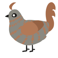 A ash and brown chicken with a bar pattern