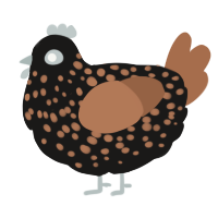 A sable and brown chicken with a speckle pattern