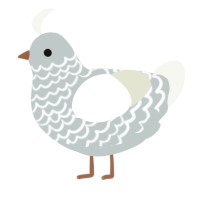 A silver and white chicken with a lace pattern