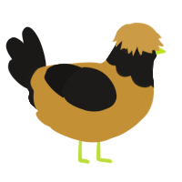A gold and sable chicken with a head pattern