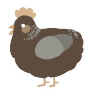 A bark and ash chicken with a neck-band pattern
