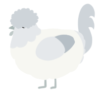 A white and mist chicken with a head pattern