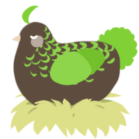 A bark and grass chicken with a half-lace pattern
