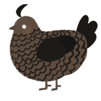 A bark and sable chicken with a lace pattern