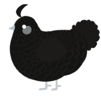A black and sable chicken with a lace pattern
