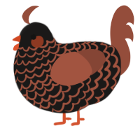 A sable and russet chicken with a lace pattern