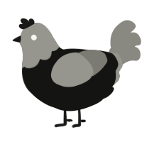 A black and ash chicken with a head pattern
