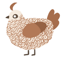 A cream and brown chicken with a double-lace pattern