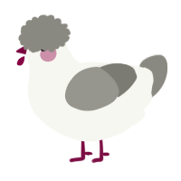 A white and ash chicken