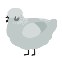 A silver chicken with a neck-speckle pattern