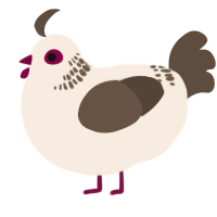 A cream and bark chicken with a neck-band pattern