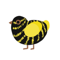 (unnamed), a black and yellow chicken with a bar pattern