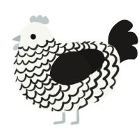 A white and sable chicken with a lace pattern