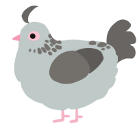 A silver and grey chicken with a neck-speckle pattern