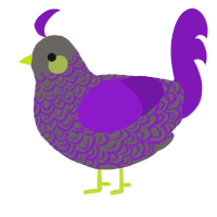 Vyo, a grey and violet chicken with a double-lace pattern