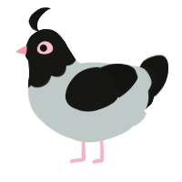 A silver and black chicken with a head pattern