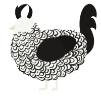 A white and sable chicken with a double-lace pattern