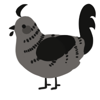 A grey and black chicken with a half-bar pattern