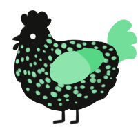 A black and spring chicken with a speckle pattern