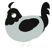 A silver and black chicken with a head pattern