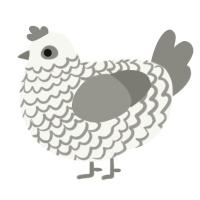 A white and ash chicken with a lace pattern