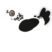 A white and black chicken with a neck-speckle pattern