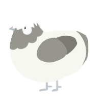 A white and ash chicken with a head pattern