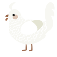 A white chicken with a lace pattern
