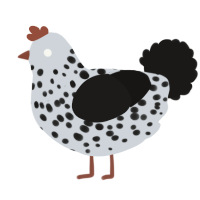 A mist and sable chicken with a speckle pattern