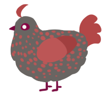 A grey and red chicken with a speckle pattern
