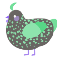 A grey and spring chicken with a speckle pattern