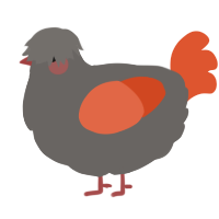 A grey and vermilion chicken