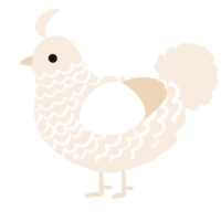 A cream chicken with a lace pattern