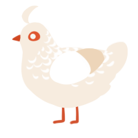 A cream chicken with a half-lace pattern