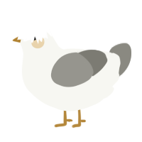 A white and ash chicken