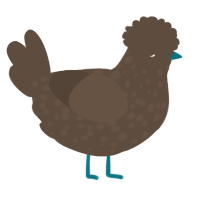 A bark chicken with a speckle pattern