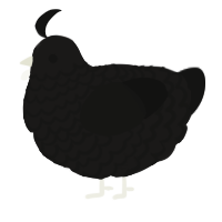 A sable and black chicken with a lace pattern