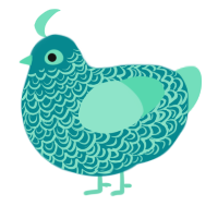 A teal and mint chicken with a double-lace pattern