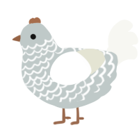 A silver and white chicken with a lace pattern