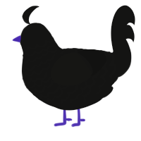 A black chicken with a lace pattern