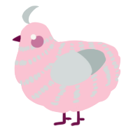 A rose and silver chicken with a bar pattern