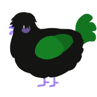 A black and leaf chicken