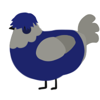 A navy and ash chicken with a head pattern