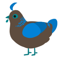 A bark and sapphire chicken with a neck-band pattern