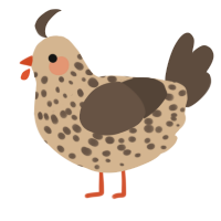 A beige and bark chicken with a speckle pattern