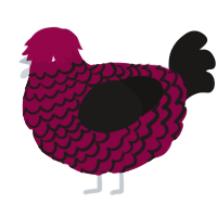 A maroon and sable chicken with a lace pattern